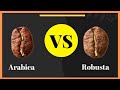 How To Choose Coffee Beans A Beginners Guide