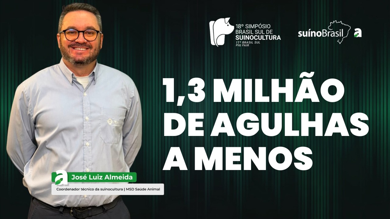 Suinocultura sem agulhas? A tecnologia que já alcança 320 mil matrizes no Brasil