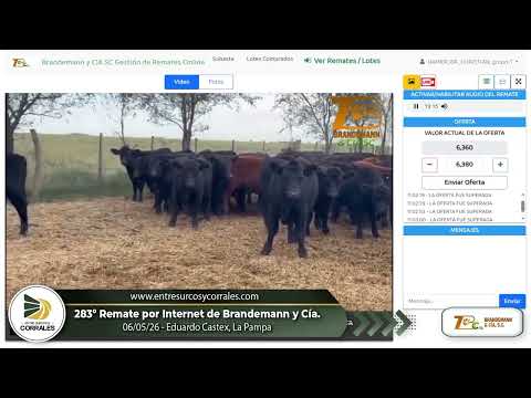 06-05-26 - 283º Remate por Internet de Brandemann y Cía. -  Eduardo Castex, La Pampa