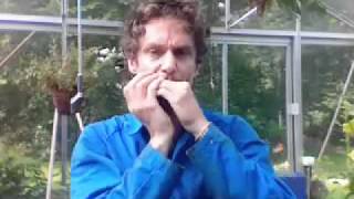 Dunderklumpen-tune: "Dansen i huset" on the harmonica
