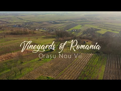 Vineyards of Romania - Orasu Nou Vii