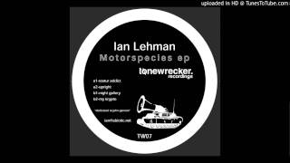 Ian Lehman "Night Gallery" B1 Track from TW07