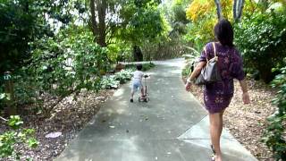 Minh rode scooter in Sarasota