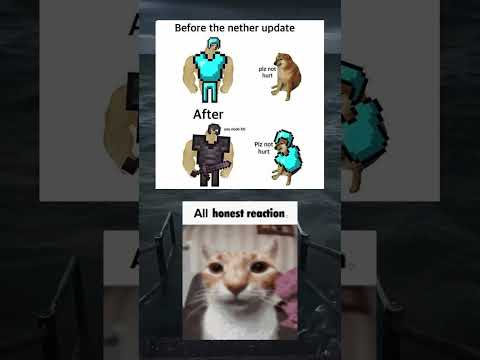 Minecraft Nether Update: The Dog Got Armor 😂