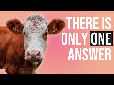Everything you need to know about VEGANISM | Animal rights & ethics of veganism explained.