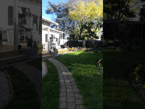 見下ろす庭を隣人と衝突せずに美しく隠すにはどうすればよいですか？  庭園