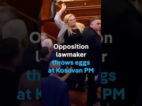 Opposition lawmaker throws eggs at Kosovo's acting PM Albin Kurti | DW News