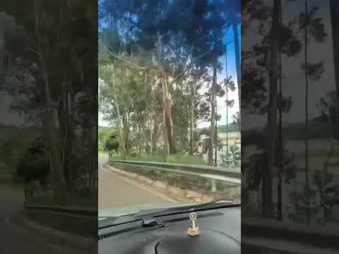 Ponte torta em Ilicínea Mg