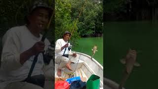 preview picture of video 'Trip sungai pancur Kota tinggi part# 1'