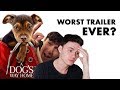 A Dog's Way Home - Trailer Trash