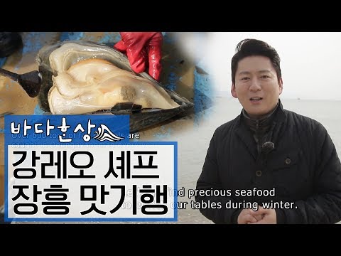 최고의 레시피를 찾아 떠나는 맛있는 길