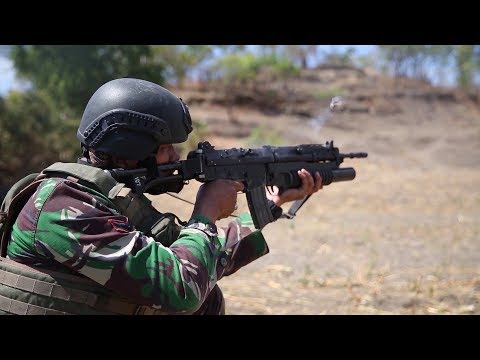 US & Indonesian Marines Joint Platoon Live Fire in Indonesia