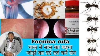 Formica rufa Homeopathic medecines!! फार्मिका रूपा होम्योपैथिक मेडिसिन