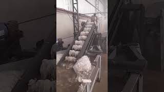 Linha Lavagem e Moagem para PP/PE - Vídeo