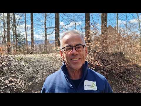 Therapie bei Rosskastanien-Blattkrankheiten