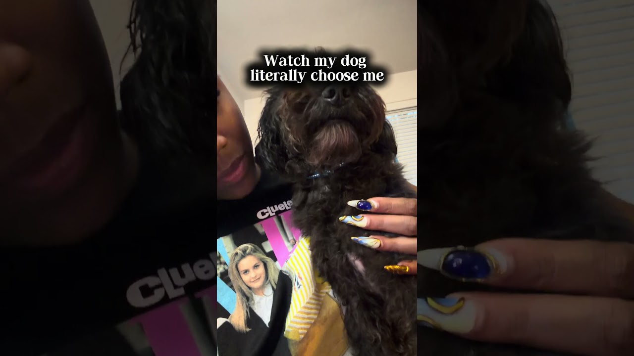 Puppy makes an educated decision 🤣 #dogshorts #dogmom #rescuedog ￼