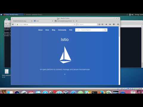 Running Istio on Docker with Consul