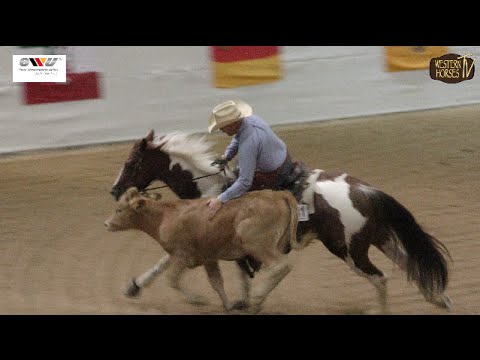 WHTV: EWU German Open 2015 - 16.-17. 09. Impressionen