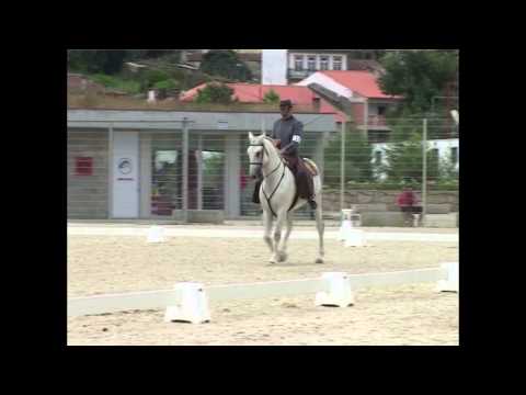 European Championship Working Equitation 2009 - Pedro Neves - Dressage