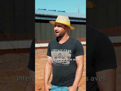 Família Bertotti em Campinas do Sul: o primeiro lote do aviário foi destaque no Rio Grande do Sul