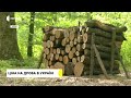 ЮРІЙ МАРЧУК: чи зріс попит на дрова цього року і яка ціна дров?