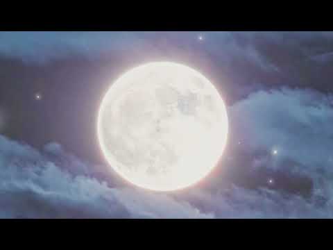  2024 年の満月とガーデニング – 月の満ち欠けに応じて、いつ何を植えるべきか?  庭園