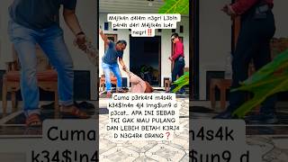 Download lagu 4d4b lebih penting d4ri pada ilmu‼️ mp3 Download lagu 4d4b lebih penting d4ri pada ilmu‼️ mp3