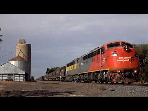 Australian Bulldog Locos : SSR Grain to Sealake