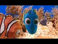 Live Action Finding Nemo DVD Stunts 20th Anniversary Special
