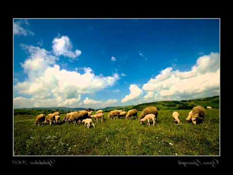 KÜRT REMZİ__Lo Şiwano