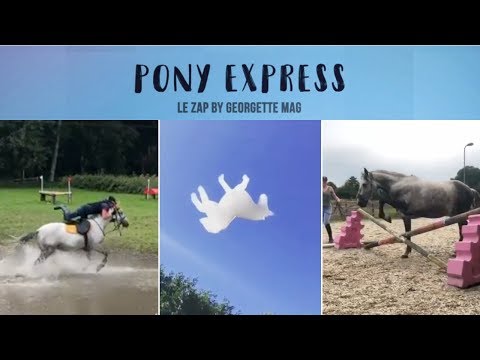 PONY EXPRESS #25 : Un nuage licorne ☁🦄