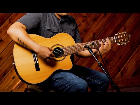 Ortega RCE159SN Performer Series Solid Cedar Top  Mahogany Neck Cutaway Nylon 6-String Classical Acoustic-Electric Guitar w/Gig Bag image 26