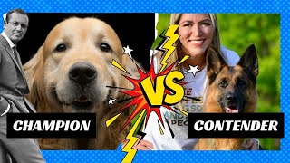 Dog Trainer Facebook A/B Test Results: An Almost 40% Increase??