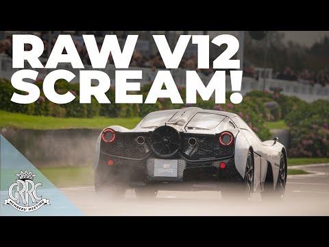 PURE V12 SOUND | Gordon Murray T.50 Fancar screams round Goodwood | 78MM