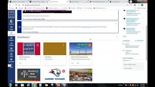Canvas Training for Faculty Webinar
