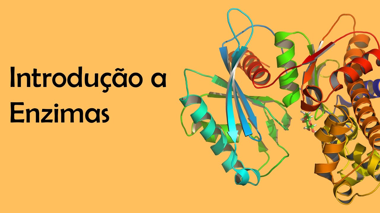 Características Gerais e funcionamento de enzimas