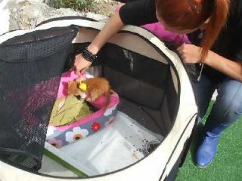 Hello Motto- found in the middle of the street-Brasov, Romania