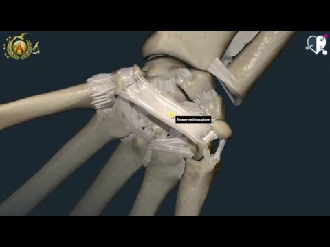 Pomata per militari congiunte Con osteocondrosi cervicale che possiamo fare lalcol impacco