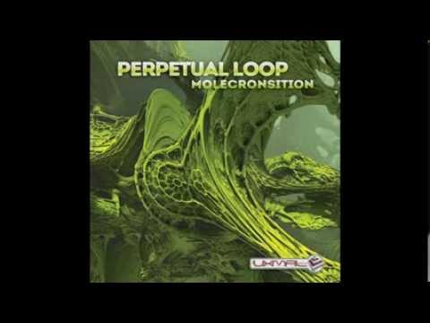 Perpetual Loop - Molecronsition (2014) Sample