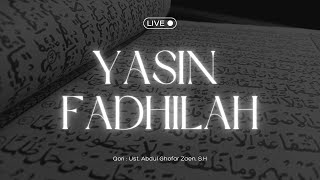 Download lagu YASIN FADHILAH BERKAH DI BULAN JUMADAL ULA 1447 H || LENGKAP TERJEMAH BAHASA INDONESIA mp3 Download lagu YASIN FADHILAH BERKAH DI BULAN JUMADAL ULA 1447 H || LENGKAP TERJEMAH BAHASA INDONESIA mp3