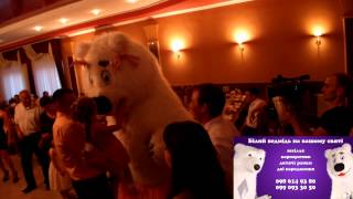 preview picture of video 'Білий ведмідь на вашому святі - Роксоланочка, Заліщики'