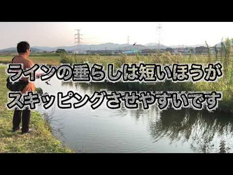 【ベイトリール編】ベイトリールのスキッピングのやり方のコツを解説！動画あり | 釣りろん