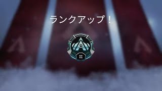 走れるようになって敗北を忘れました
