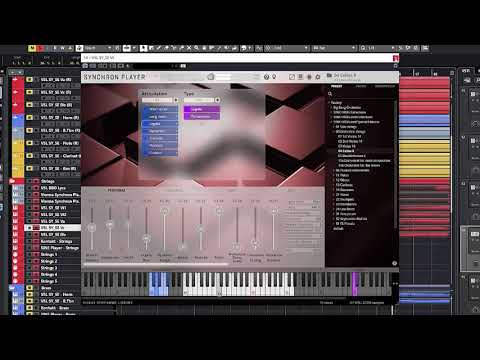 VSL Synchronized Special Edition Vol 1 - Screencast