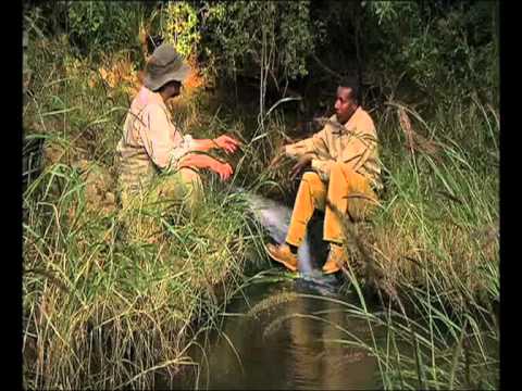 Hope in a Changing Climate