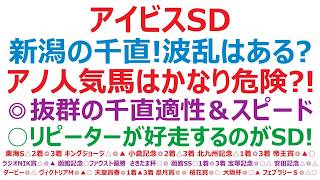 【アイビスサマーダッシュ2026】予想　新潟の直線1000m！波乱はあるのか？アノ人気馬は、かなり危険かも？！◎抜群の千直適性＆スピード！○リピーターが好走するのが、このアイビスサマーダッシュです。