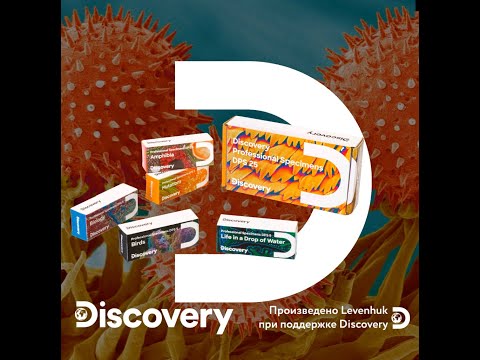 Миниатюра изображения товара Набор микропрепаратов Levenhuk Discovery Prof DPS 5 Птицы / 78414