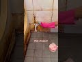 If I Have A Dirty Bathroom I Have Everything I Need Cleaning Bathroomcleaning