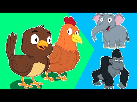 El sonido de los animales | los niños aprenden canciones en español | Animal Sounds Song