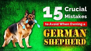 15 Things You Must Never Do to Your German Shepherd - 15 Common Mistakes to Avoid